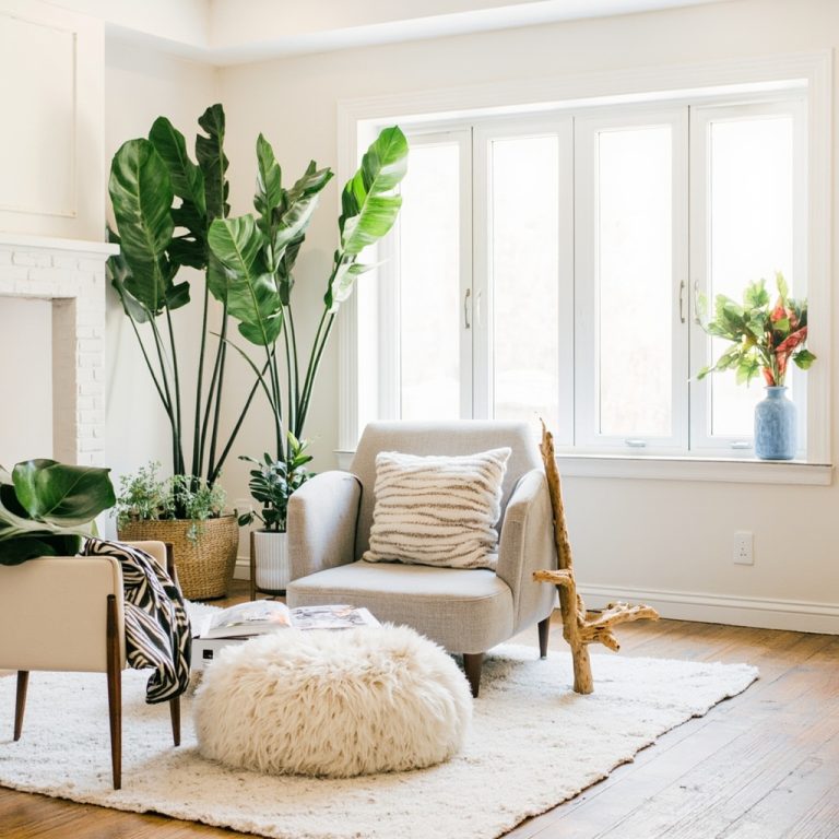 Best Fake Plants That Don’t Look Fake (I’ve Tried 20, Here Are the 5 Worth Buying) (Part 3)