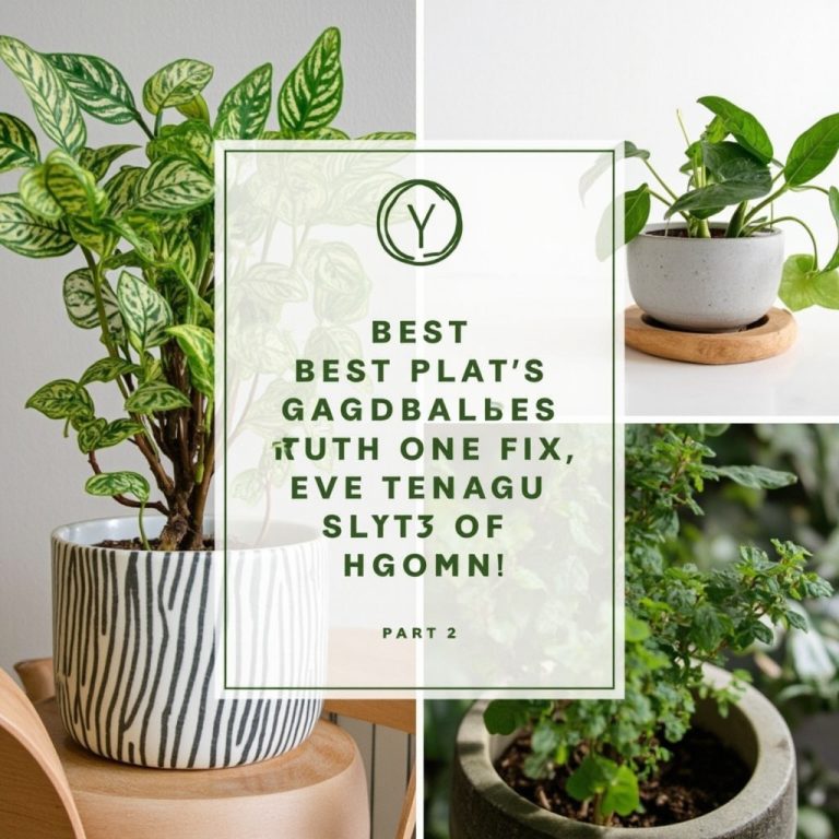 Best Indoor Plants for Low-Light Apartments: A Beginner Guide (Part 2)