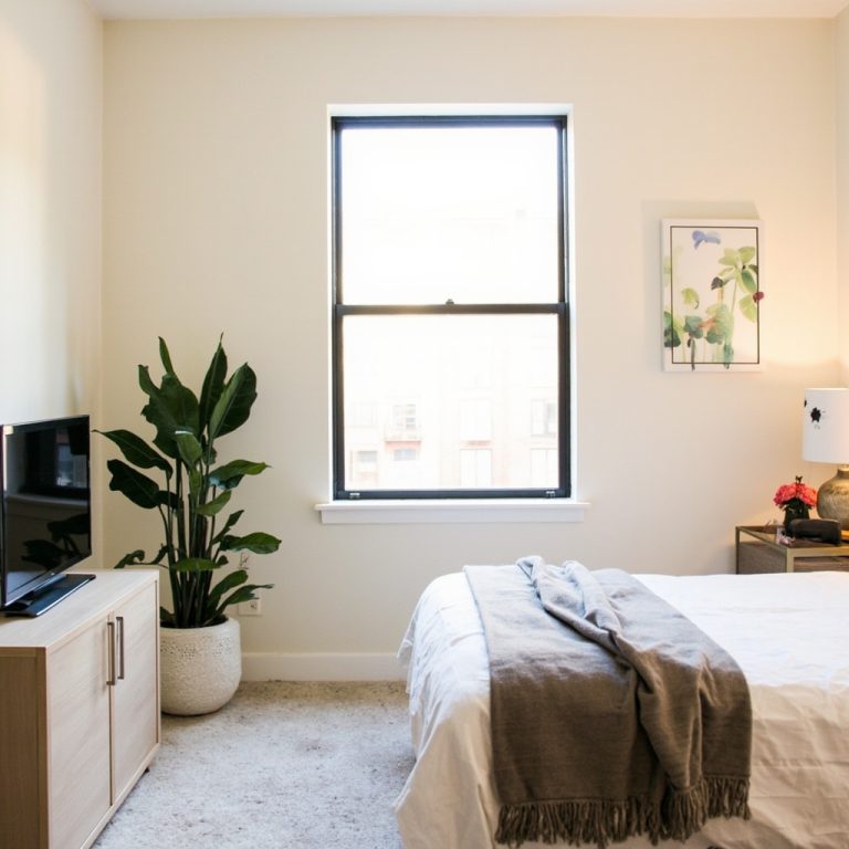 Studio Apartment Decorating: How I Made 450 Square Feet Look Like a Choice (Part 7)