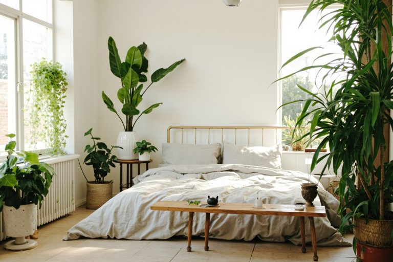 The Best Indoor Plants For Bedrooms Based On Light Conditions